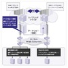 SBテレコム、大量のデータ転送を可能にする試験サービスを開始 ~ ハイブリッドクラウドを安価に実現