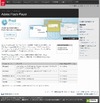 Adobe Flash Playerに脆弱性、「10.1.102.64」へのバージョンアップを