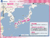 全国の桜の開花状況をリアルタイムで提供……ウェザーニューズの「SAKULiVE」