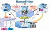 富士通、SaaS型地域医療ネットワーク「HumanBridge」を販売開始