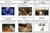 NTTぷらら、国際短編映画祭の出品作を「ひかりTV」で無料提供
