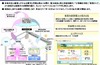 NTT東、家庭向け「電力見える化サービス（仮称）」トライアルを開始
