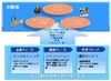 NTTデータ、スマホやタブレット型端末向けセキュリティ「BizSMA」発表