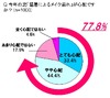 今年のキーワードは「クール美s」?……「夏のメイク」崩れ、8割の女性が猛暑で心配