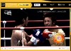 6月25日開催「K-1 WORLD MAX 2011」をYouTubeライブやUstreamで無料中継