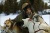 GyaO、映画「狩人と犬、最後の旅」のオンライン試写会を開催
