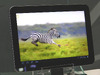 【CEATEC 2011（Vol.13）】REGZA Tabletの実機を試せる東芝ブース
