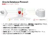 日本オラクル、不正なSQLコマンドを遮断する「Oracle Database Firewall」提供開始