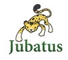 NTTとPFI社、ビッグデータのリアルタイム処理を可能にする新技術「Jubatus」を開発