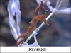 サンシャイン水族館、1日館長になれる福袋などを正月販売……干支水槽「タツノオトシゴ」も登場