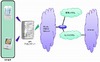 日立の「WiMAX～Wi-Fi中継システム」、KDDIのau Wi-Fi SPOTにおいて稼働開始