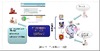 NTT-IT、SNSなどの評判を解析する「評Ban」提供開始……炎上の兆候を速やかに検知