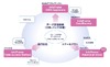 NEC、「ビッグデータ」関連事業を強化……全社横断プロジェクト立ち上げ、新DBソフト投入など