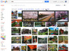 関連するイメージで検索、Googleのイメージ検索が機能アップ