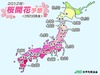 桜の“満開日”、平年並みかやや遅め……関東から西では4月上旬頃の見込み