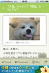なぜ「犬舌」じゃなく「猫舌」?……無料iPhoneアプリ「巷のB級ニュースを毎日配信!『Excite Bit コネタ』」