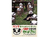 弟パンダ「QQ(キューキュー)」が新登場!“兄パン”はDVDに