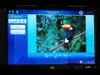 【NAB 2007 Vol.7】IPTVの構築・運用を容易にする「HP IPTVソリューション」