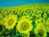 【NAB 2007 Vol.11】確実な進化が見られるウルトラハイビジョン