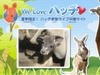 「ハッチ」のライブカメラが期間限定で一般公開、YouTubeにもPR動画をアップ——須坂市、STV、アットネットホーム