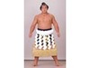 千代の富士、大鵬らの勇姿がネットで〜大相撲「名力士・名勝負」