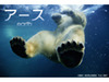新曲PVや映画予告編を“ノンストップ”で配信「ノンストップch」