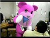 【ビデオニュース】バレンタインデー！突然のモモ妹訪問に社内が撮影会状態に!!