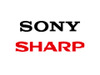 シャープとソニー、液晶パネル調達報道を否定