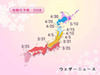 ぽかぽか陽気に誘われ、全国の桜開花は予測より早まりそう