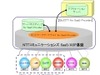 NTT Com、アプリ事業者向けSaaS/ASP基盤「BizCITY for SaaS Provider」提供開始