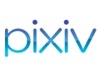 pixiv、1日あたりページビューがついに1000万PVを突破〜ほぼ1年で急成長