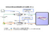 ネットスプリングの認証アプライアンス「AXIOLE」、ミラポイント・メールアプライアンスに正式対応