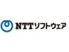 NTTソフトとテラスカイ、Salesforceと社内システムを連携できるSaaS型サービス「SkyOnDemand」