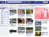 充実のスポーツ系ウェブサイト「みんなの スポニチてれびぃ」