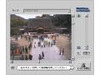初詣・初日の出はネットから!〜北向観音、浅草寺、天満宮などライブカメラ中継
