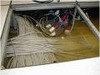 サーバルームがこうなる前に…ライフボート、温度や浸水をチェックする環境センサー発売