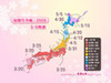 ウェザーニューズ、桜の開花予測を発表!