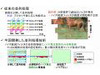 NEC、マルチコア対応のH.264/MPEG-4 AVCソフトウェアコーデックを開発