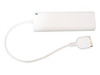 ブライトンネット、iPodやiPhone用のバッテリ式充電器