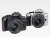 キヤノン、「EOS 20D」「EOS Kiss Digital N」の製造番号シールの印刷文字が薄くなることが判明 シールは無償交換へ