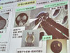 【FOE 2010 Vol.10】光ファイバー敷設・線路技術に関するトレンドを公開