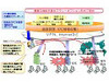 NTT Com、企業向けクラウド型PC管理サービス「BizセキュリティPCマネジメント」を発表