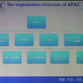 APACの組織構造
