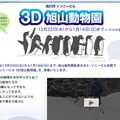 ソニービルHP内の「3D旭山動物園」特設ページ