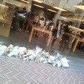 Apple Store渋谷