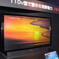 参考出品として110V型のリアプロテレビも展示されており、消費電力の低さをアピール