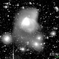 すばる望遠鏡の主焦点カメラ Suprime-Cam で撮影したアープ 220 の可視光写真