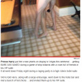 米エンタメ情報サイト「TMZ」に掲載された“全裸男性”の記事（その2）