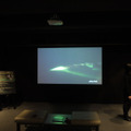 NHKとJAXAが開発した超高感度ビデオカメラで撮影したオーロラ映像