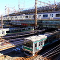 山手線よりも緑の濃さが増した埼京線205系